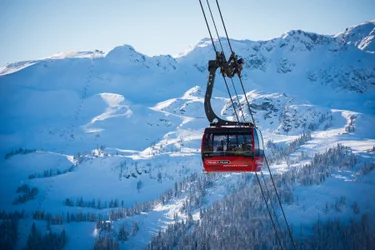 Whistler in Spring