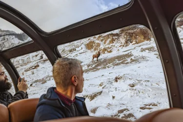 Wildlife sighting in the Canadian Rocky Mountains from Prestige Park Car's scenic dome section onboard VIA Rail's train, The Canadian, during winter