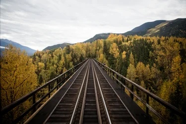 Rail tracks with fall foliage on either side and mountains ahead