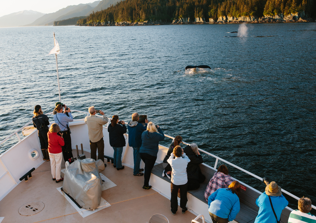 A group of people are standing on a boat looking at whales in the water