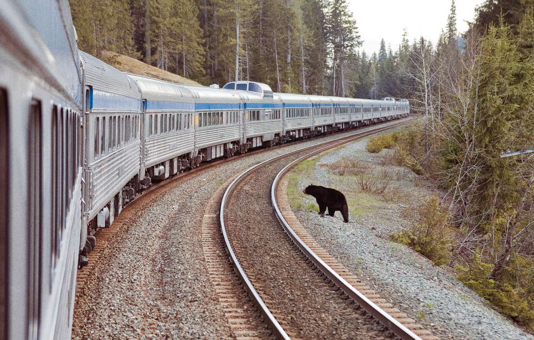 Wildlife Rail Tours in Canada