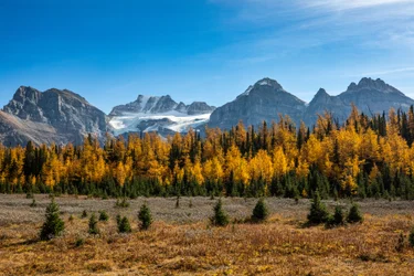 Banff National Park in Fall