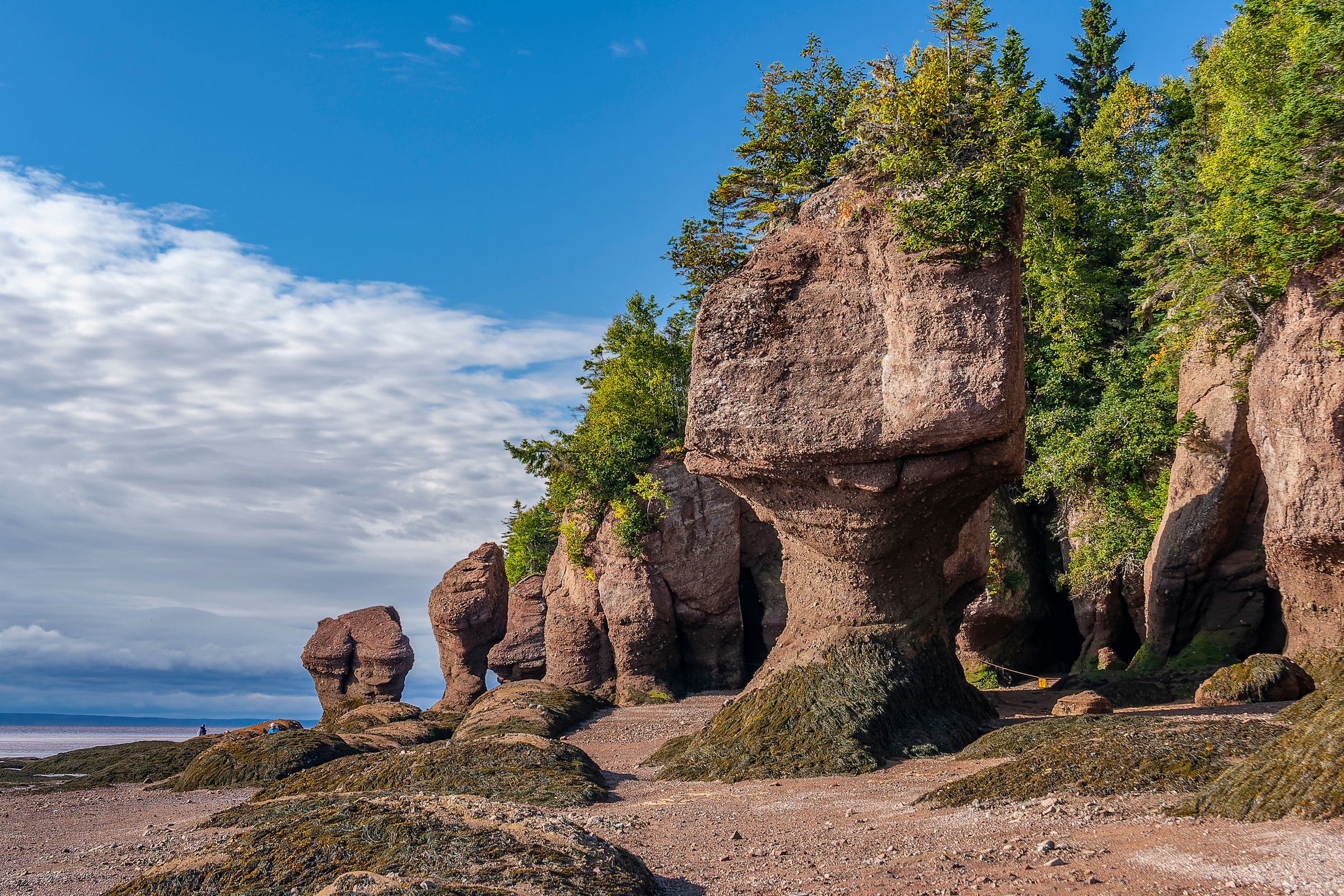 Moncton to Charlottetown
