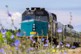 Front view of a VIA Rail train going through a field of flowers