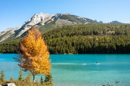 Explore Banff National Park