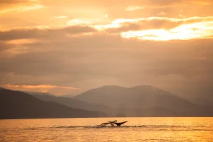 Explore North America’s deepest fjord