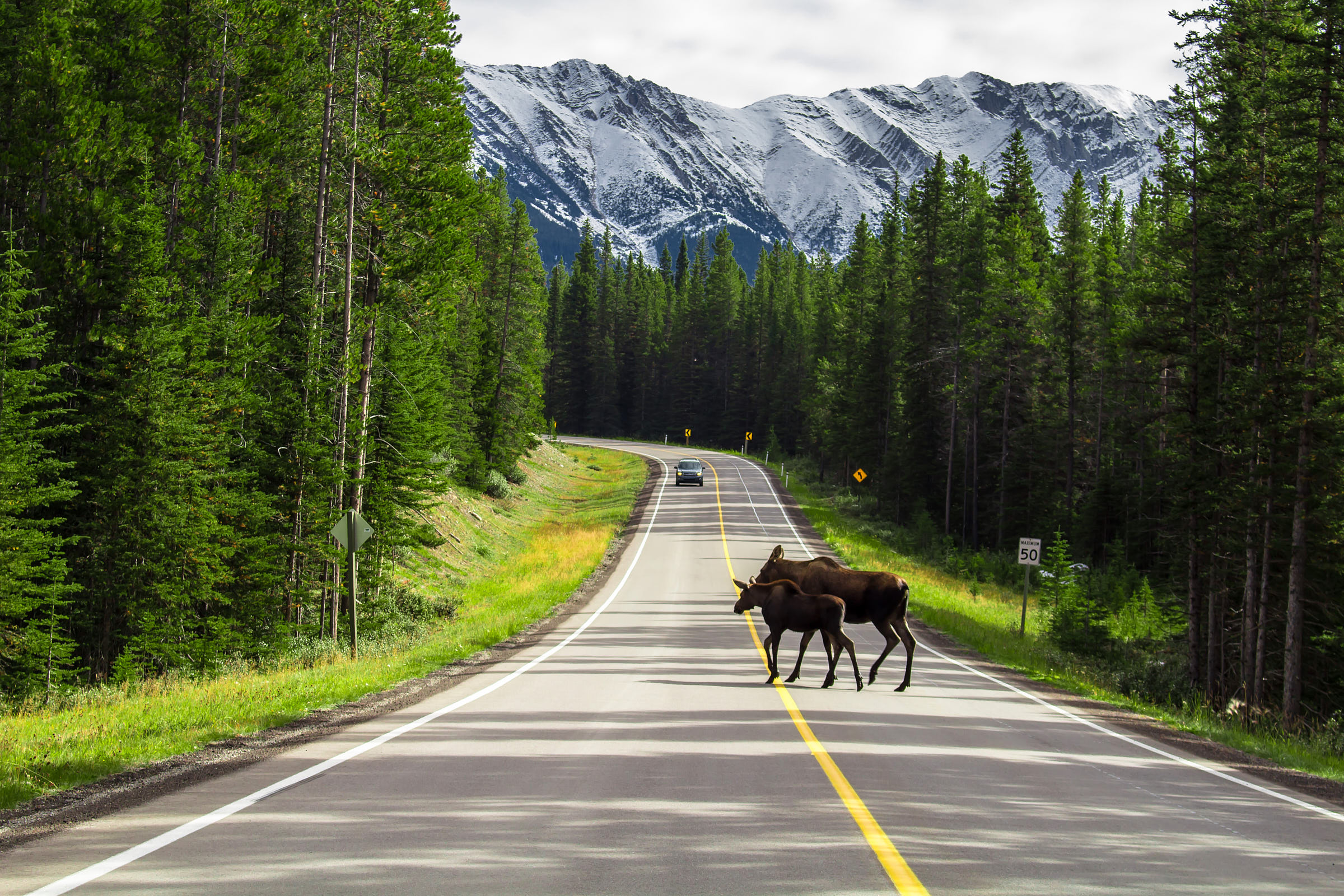 Icefields Parkway - Banff to Jasper