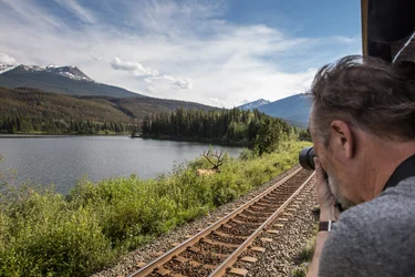 A guest captures a photo of an elk from the Gold Leaf Service outdoor viewing platform.