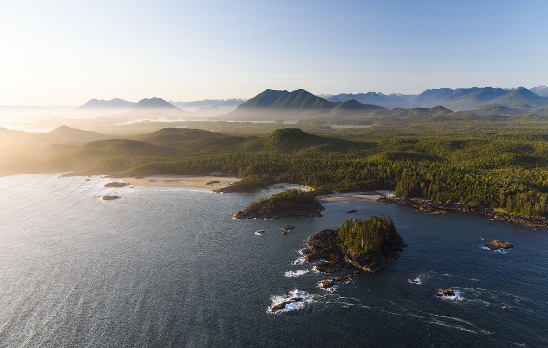 Tofino