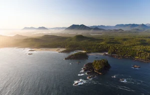 Tofino