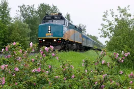 Springtime Across Canada Train Trip