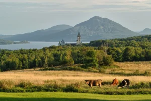 Eastern Townships to Quebec City