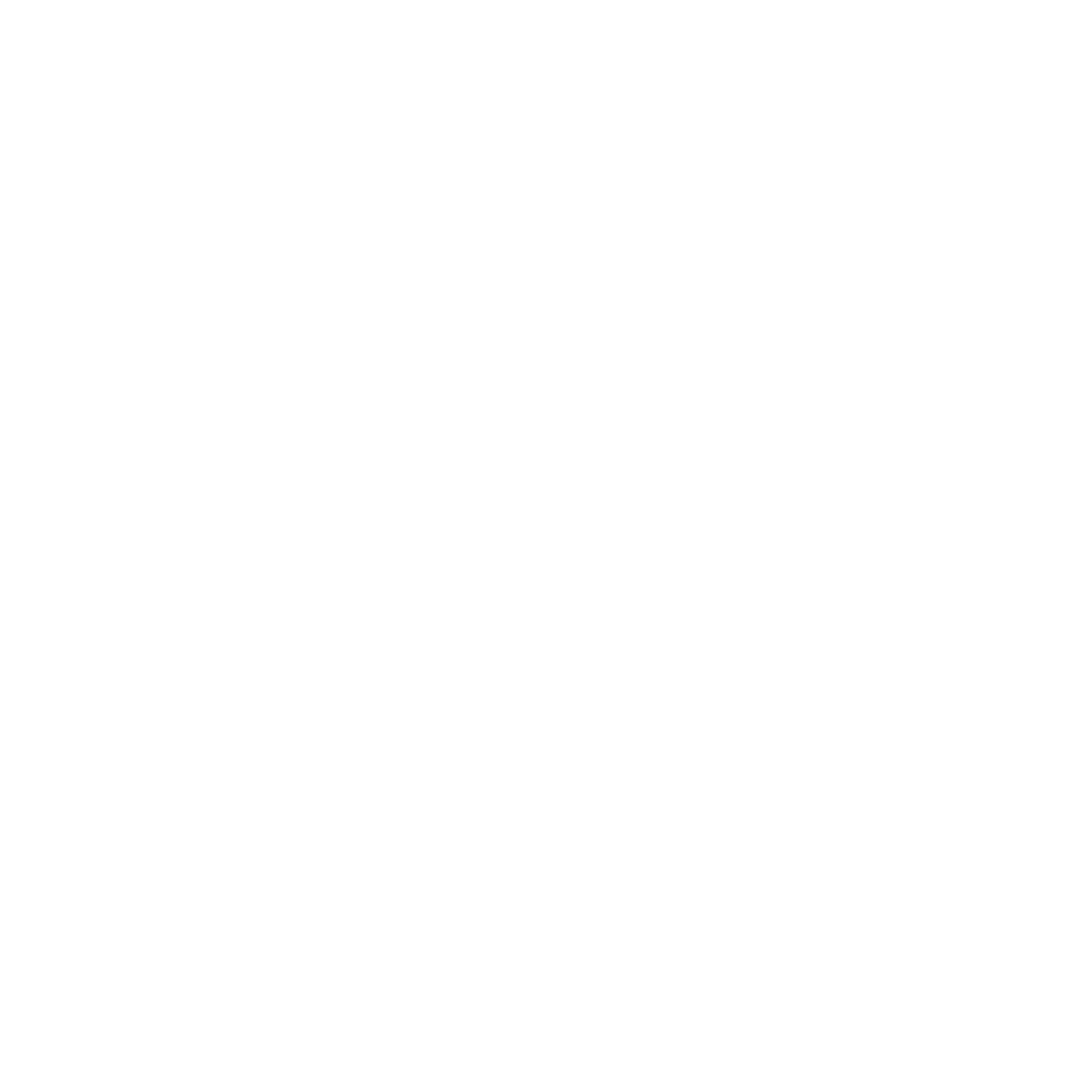 Youtube icon