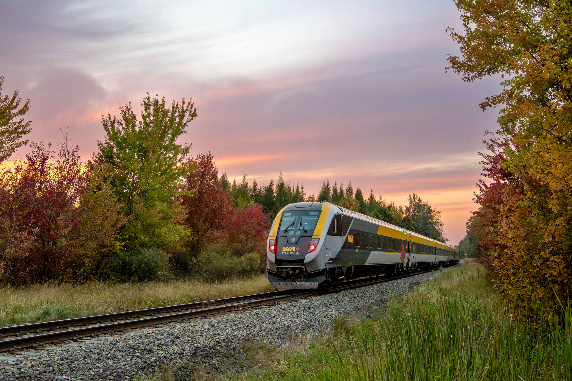 Front of VIA Rail Corridor train passing through fields with fall foliage on either side and pink sunset in the sky