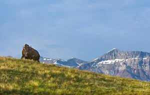 Waterton Lakes National Park