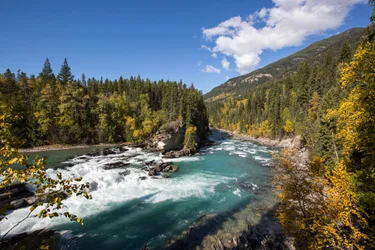 View of blue Fraser River as it travels over Rearguard Falls, surrounded by fall foliage and green forest