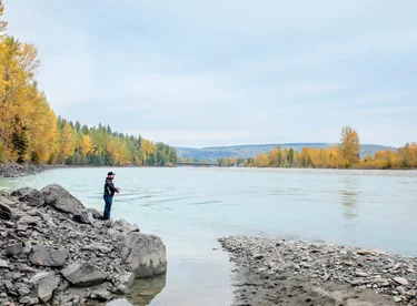 Quesnel