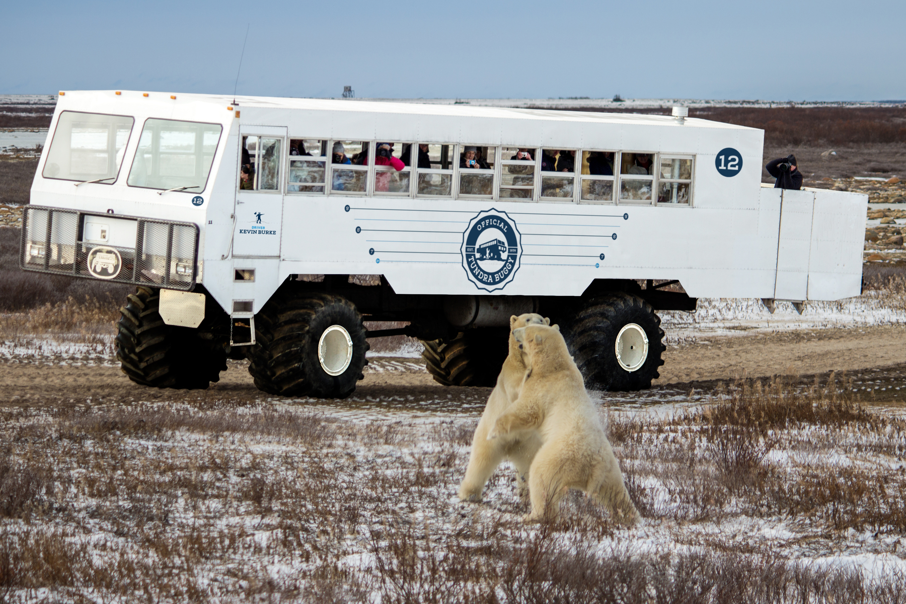 Tundra Buggy Excursions