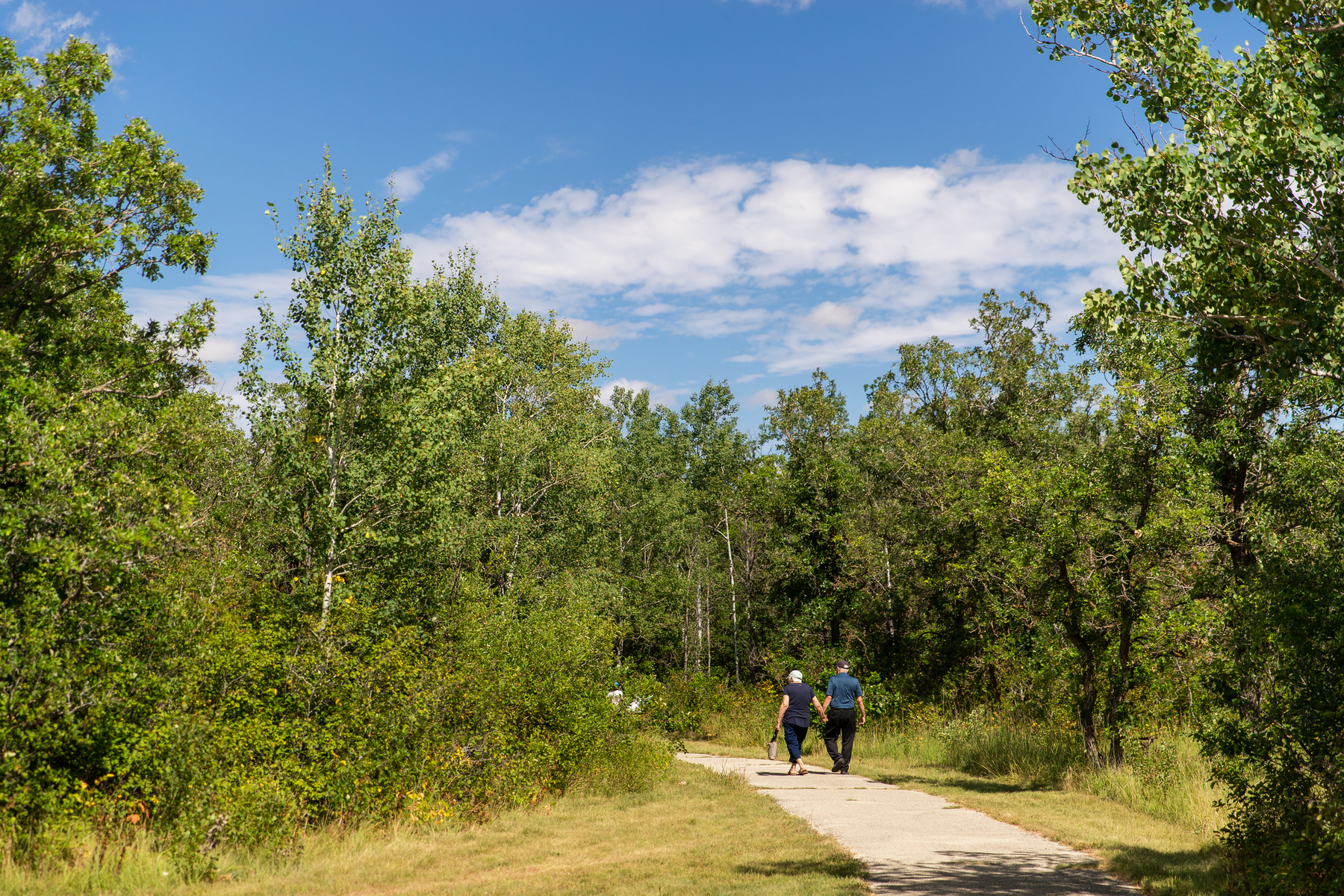 A couple holding hands as they walk along a park trail