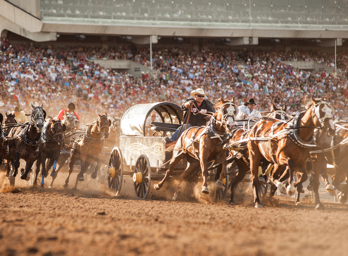 Calgary Stampede