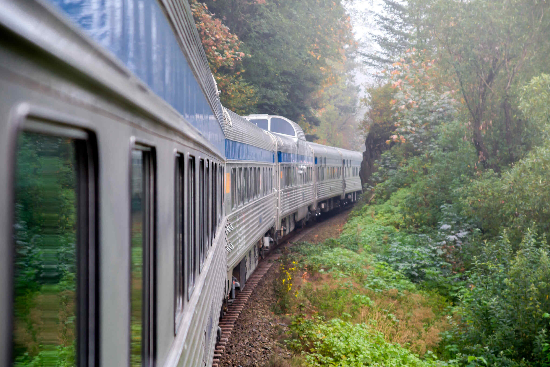 Passenger train travelling though a misty Canadian forest