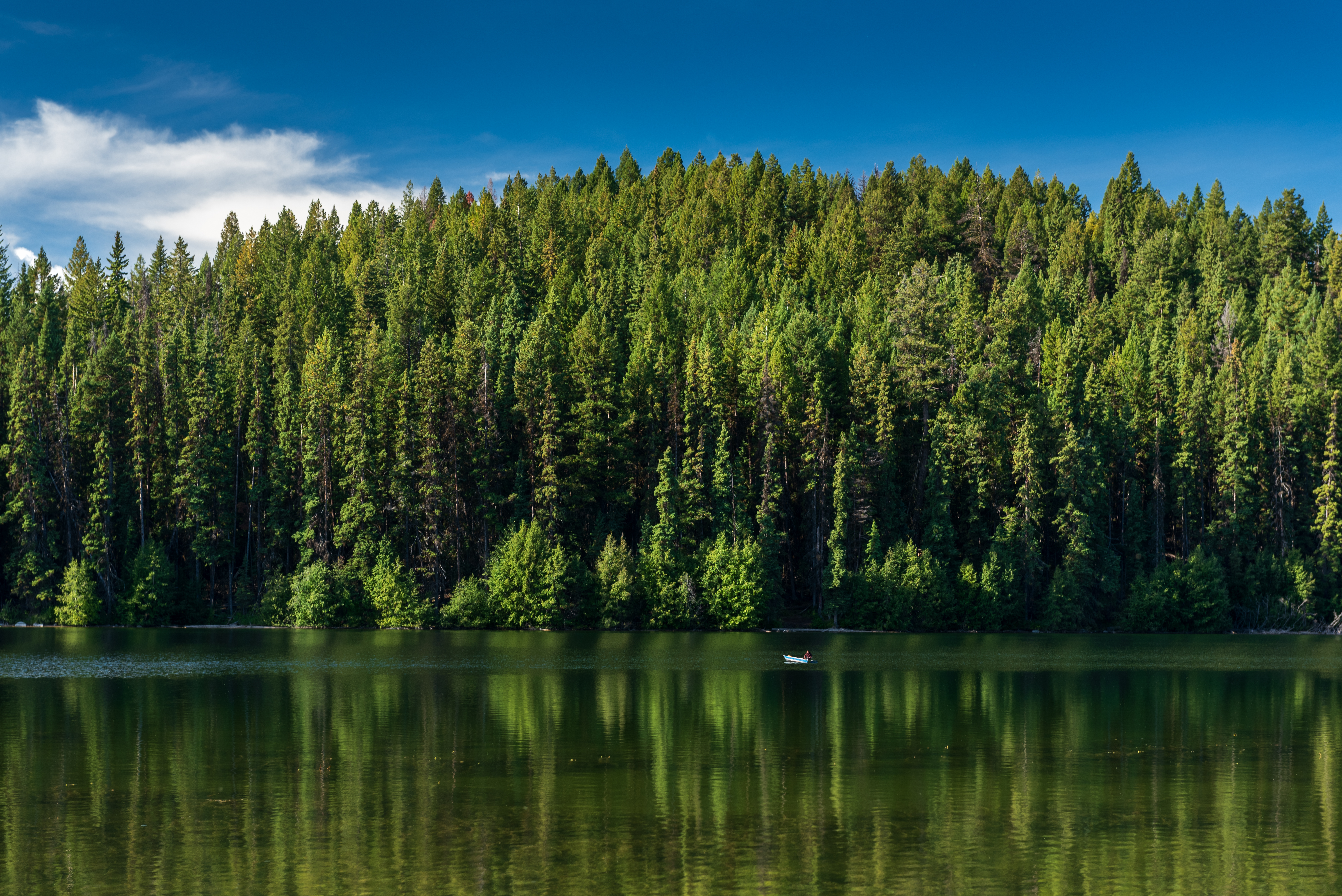 Paul Lake Provincial Park