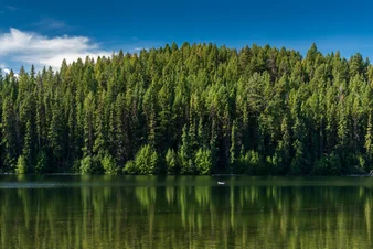 Paul Lake Provincial Park