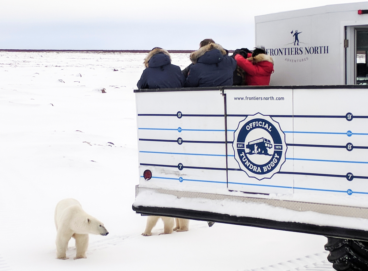 Elevated viewing platform