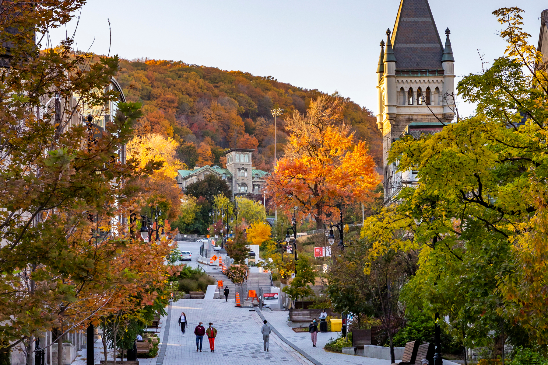 View of street with fall foliage and heritage buildings in Montreal
