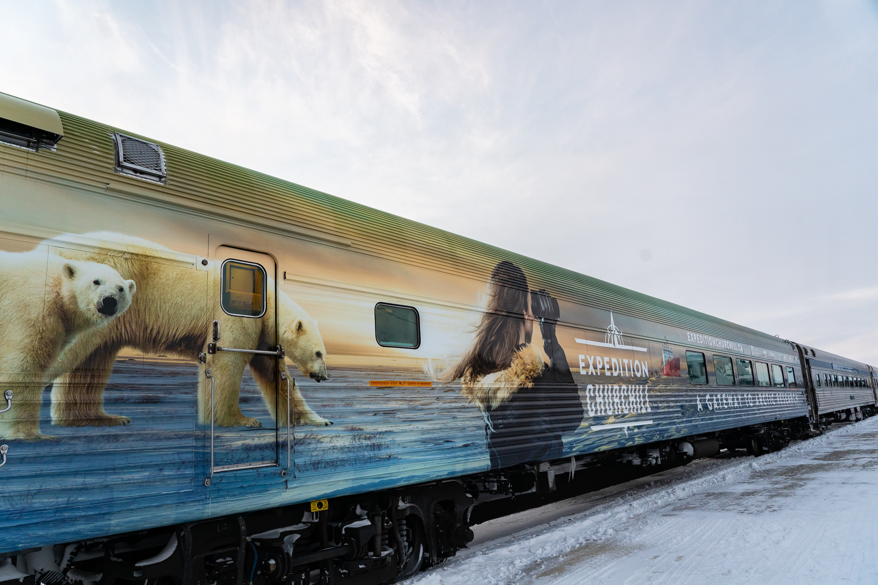 VIA Rail's Train to Churchill with polar bears painted on the outside