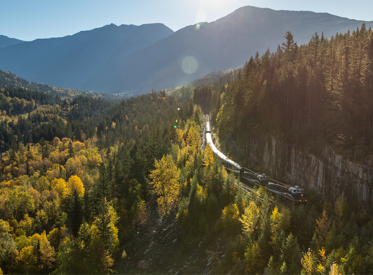 Rocky Mountaineer coach en route traversing a vast forest