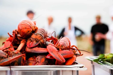 A pile of cooked lobsters