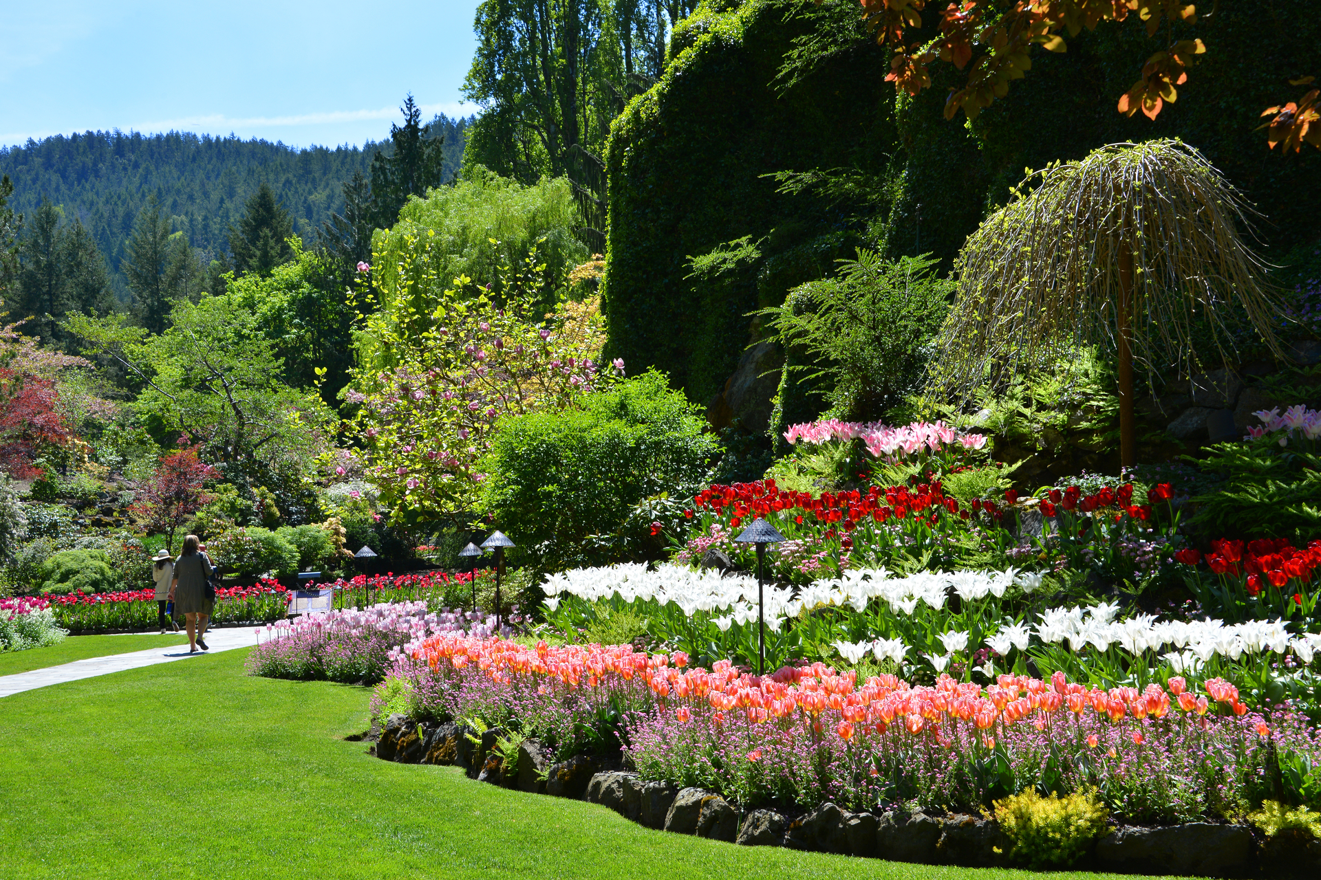 The Butchart Gardens in Spring