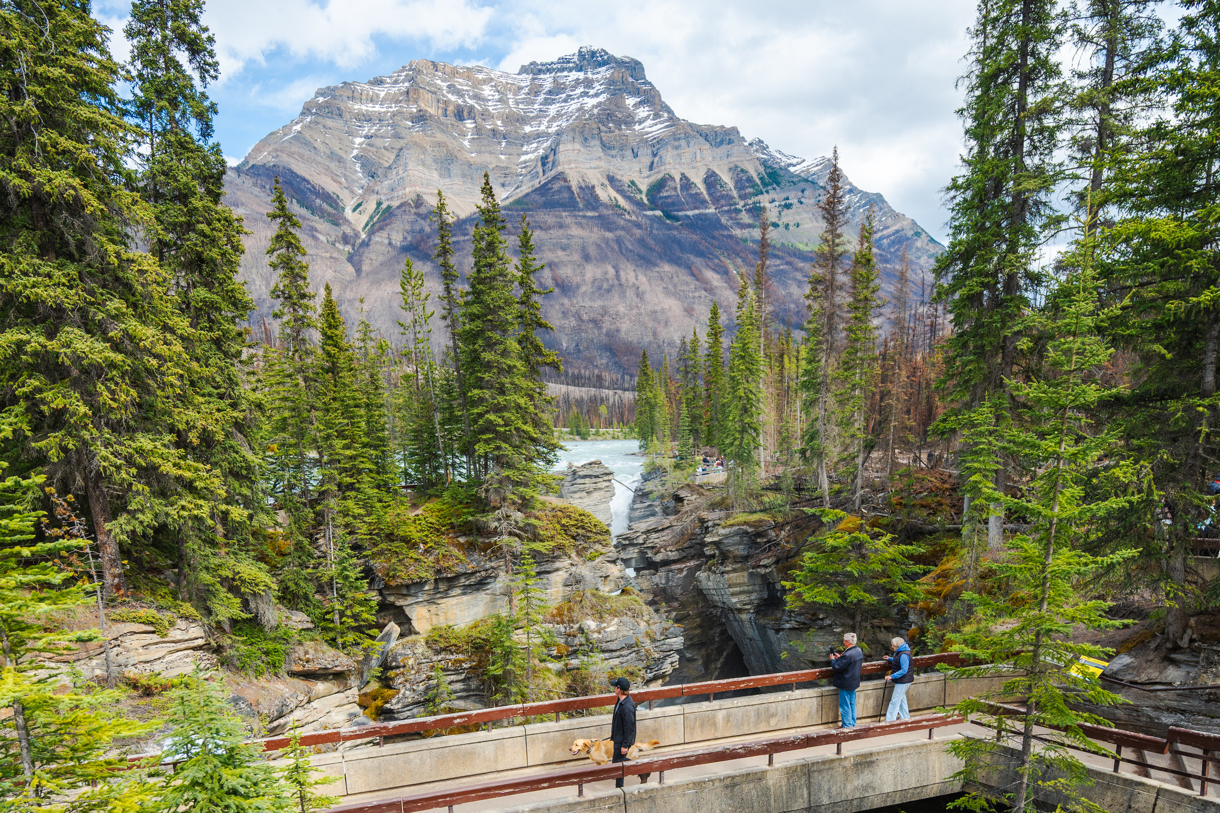 Explore Jasper National Park