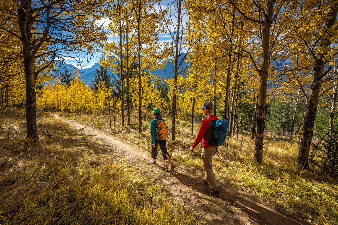 Couple hiking the Montane Trail surrounded by golden fall foliage. 