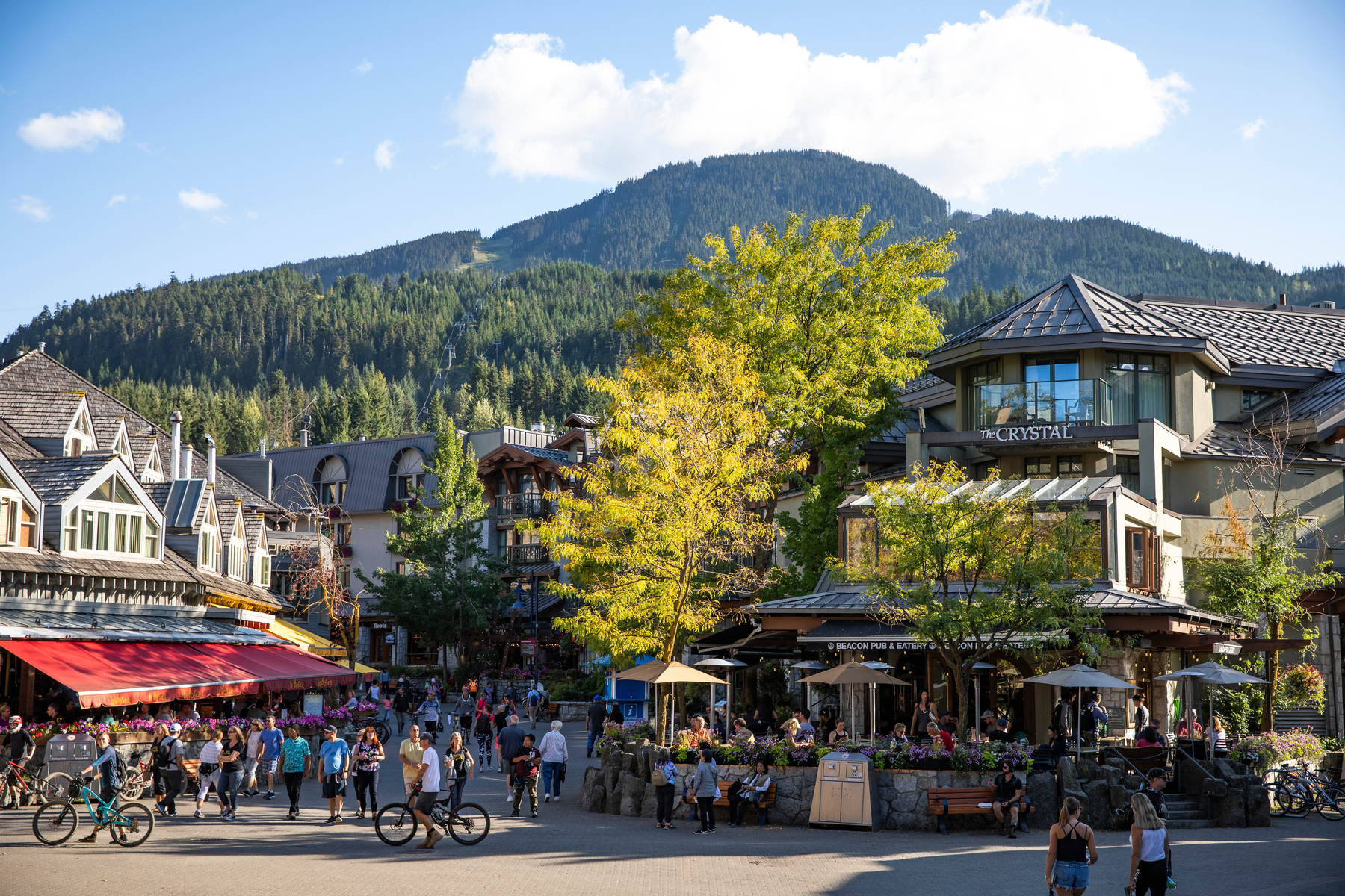 Whistler