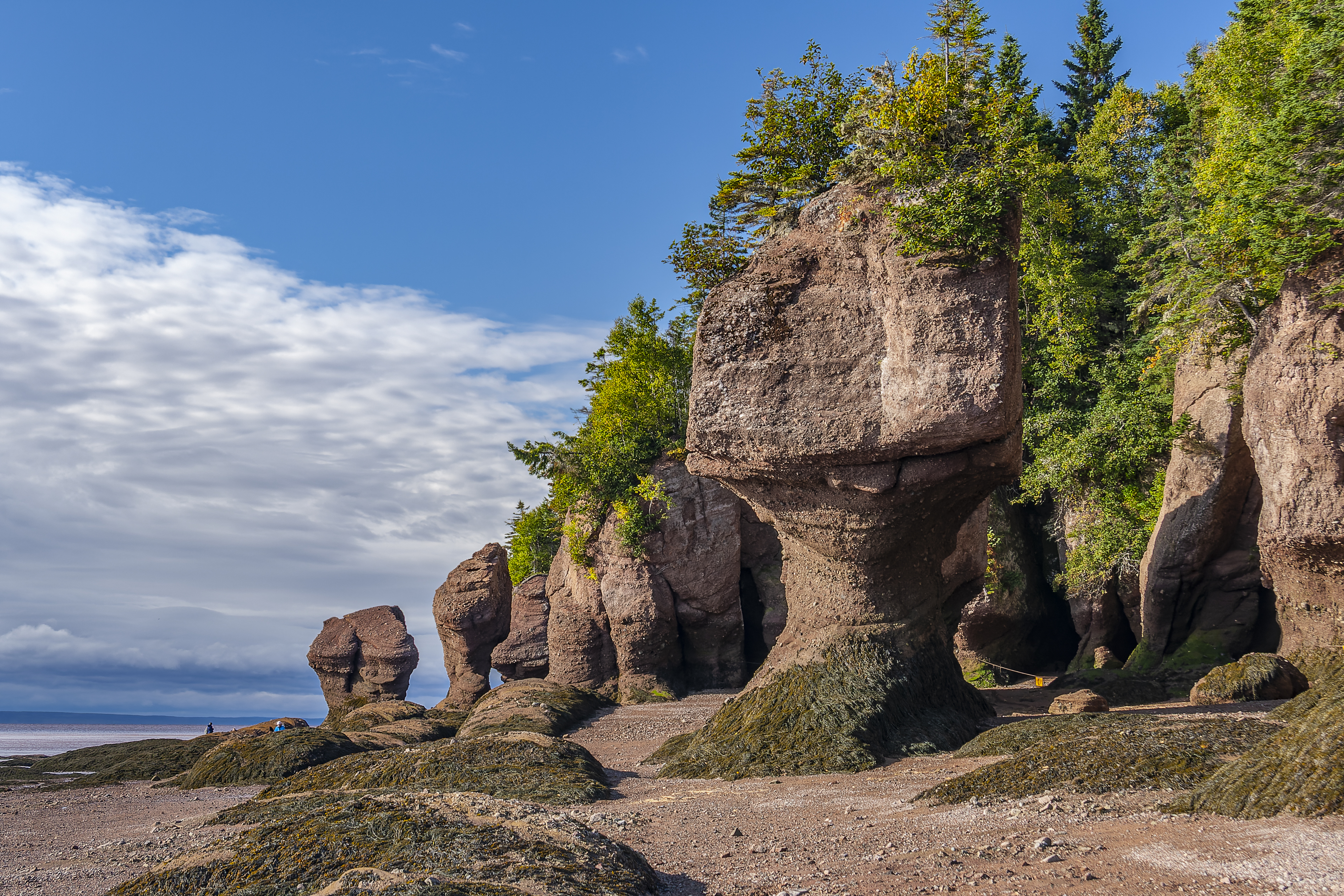 Hopewell Rocks