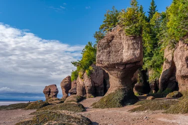 Hopewell Rocks