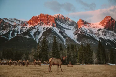 Explore Banff National Park