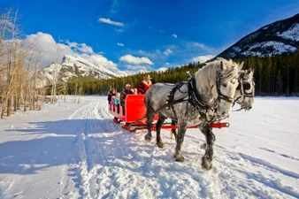 Group of people on a horse drawn sleigh ride in Banff National Park Alberta