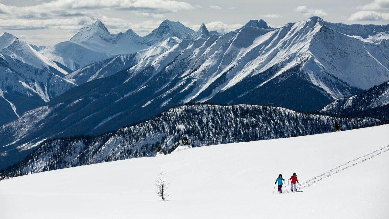 Snowshoeing and Cross-Country Skiing