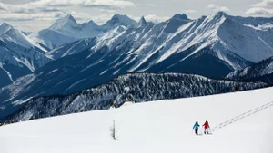 Snowshoeing and Cross-Country Skiing