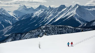 Snowshoeing and Cross-Country Skiing