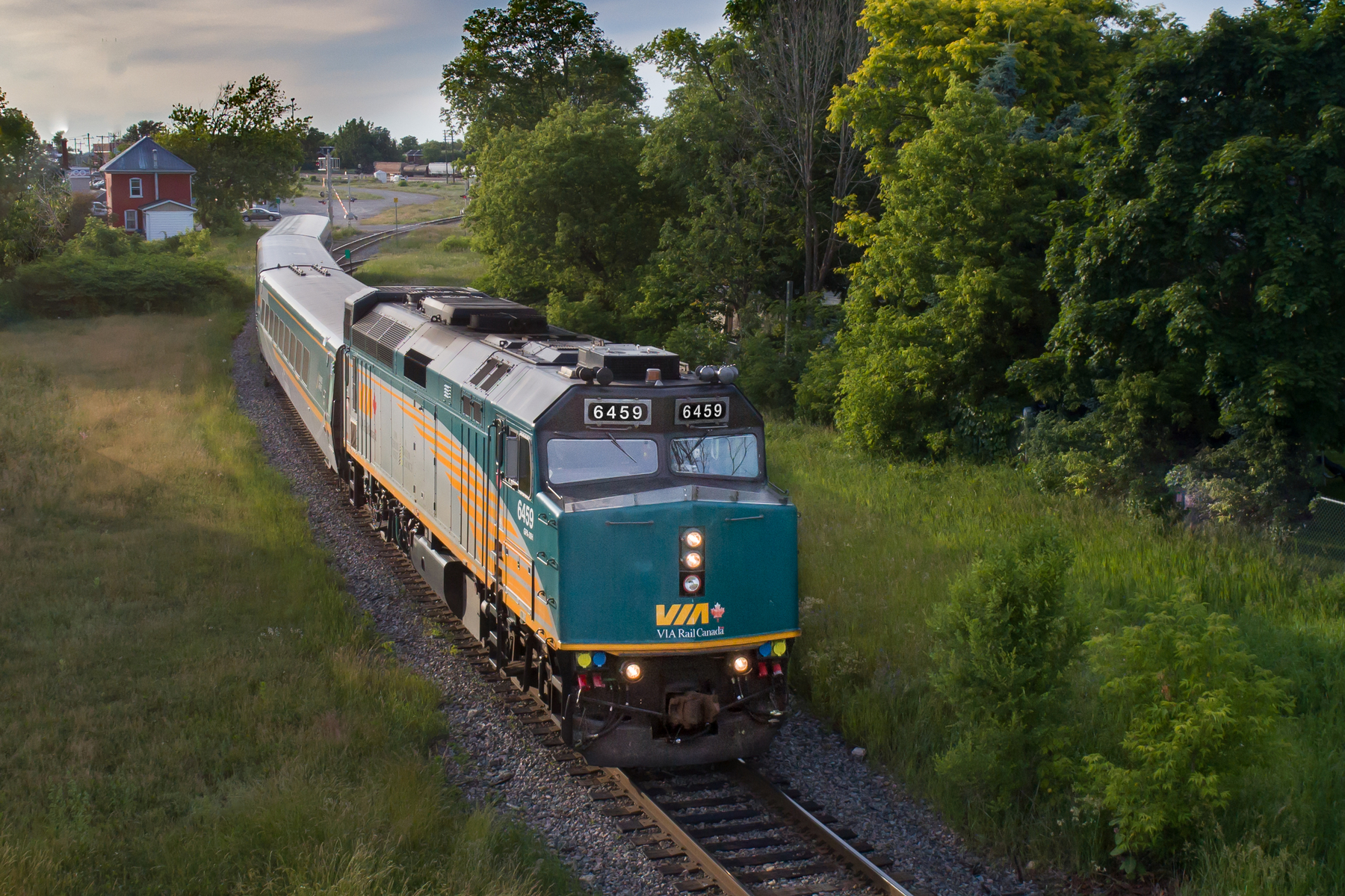 VIA Rail train travels in rural area during summertime