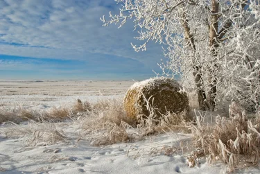 Prairie Provinces