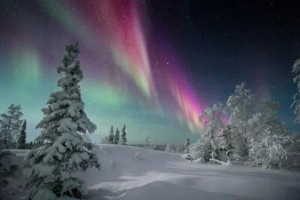 Pink and green northern lights dance over a snowy landscape near Yellowknife, Northwest Territories, Canada
