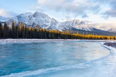 Explore Jasper