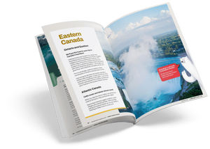 Take Advantage of Online Brochures