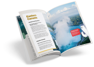 Take Advantage of Online Brochures