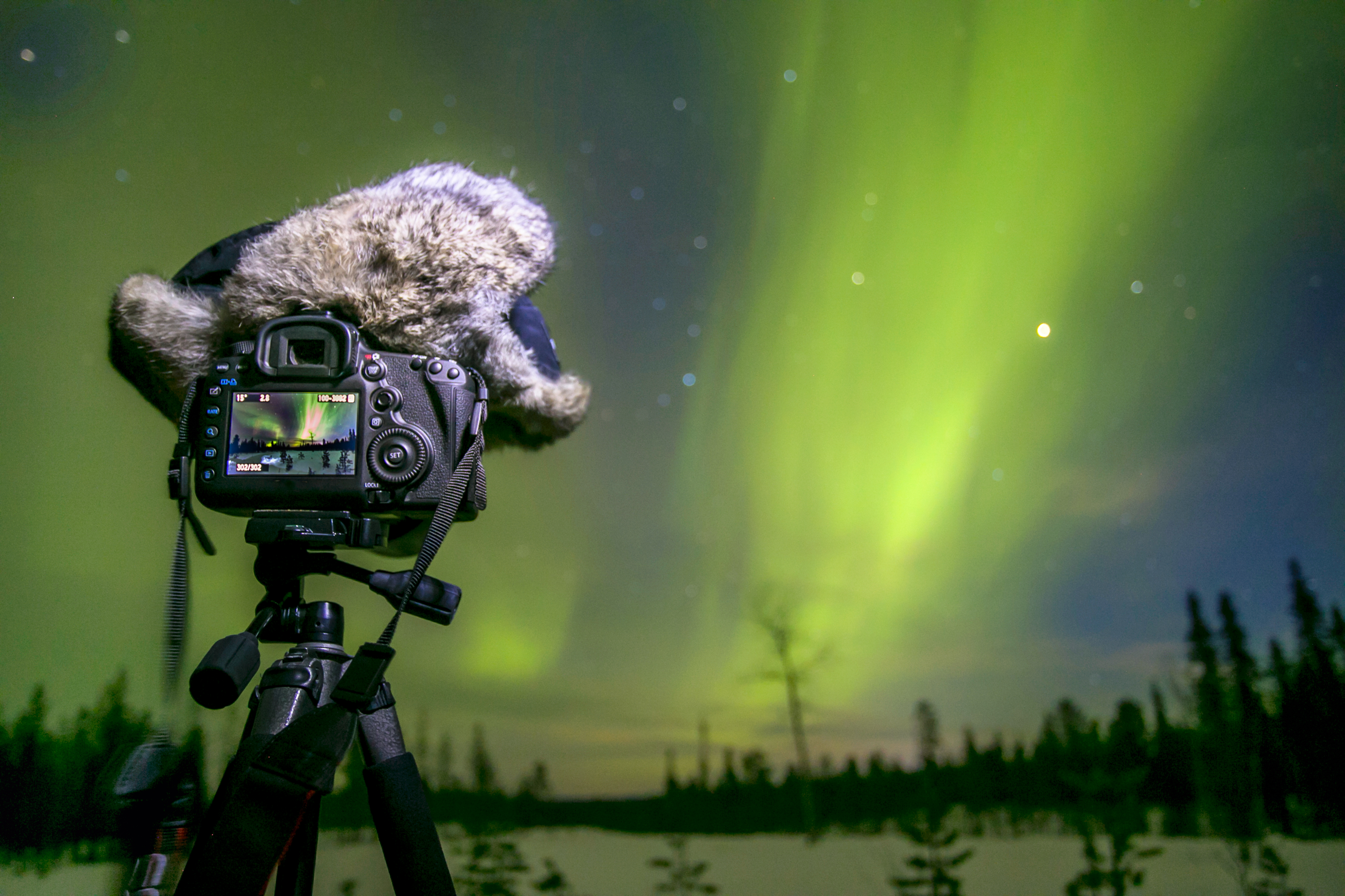 Northern Lights seen through a DSLR camera display